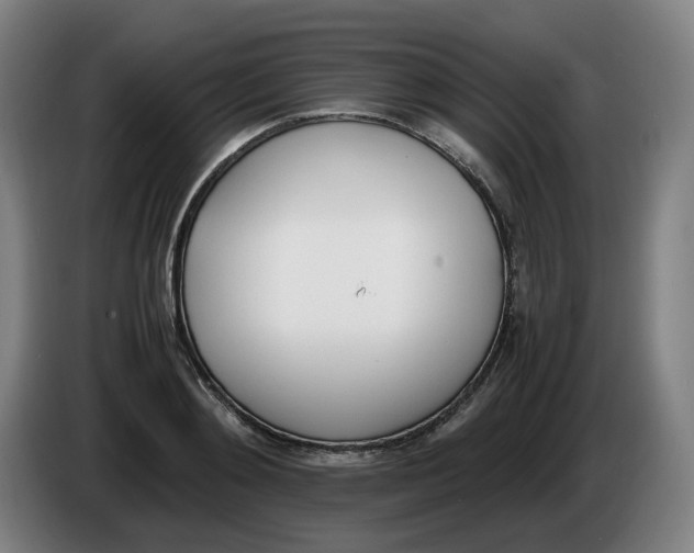 X0000086340892200704202059