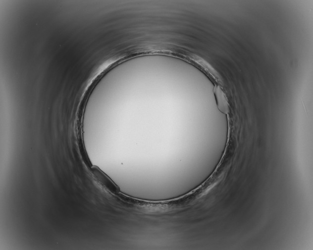 X0000086340893200704202059