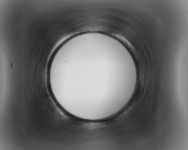 X0000086340894200704202059