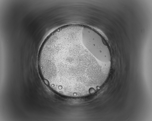 X0000086340895200704202059