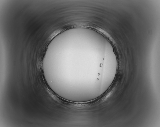 X0000086340897200704202059