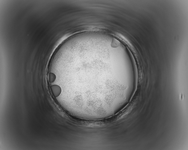 X0000086340899200704202059
