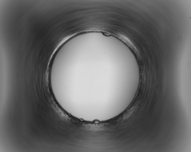 X0000086340900200704202059