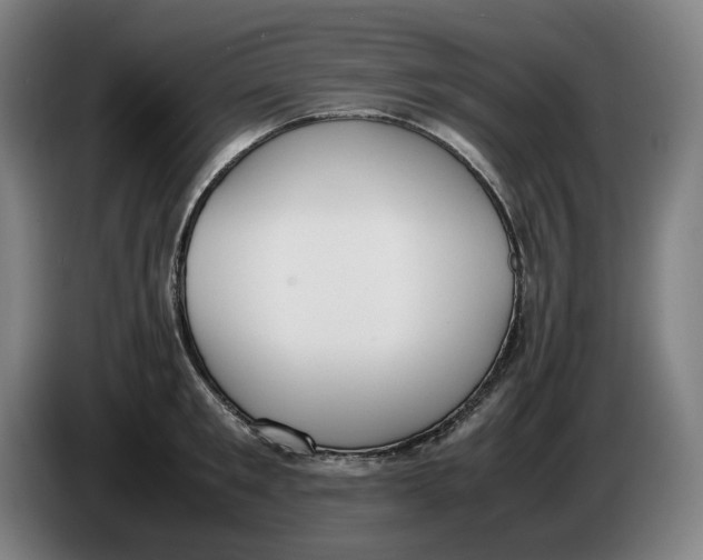 X0000086340901200704202059