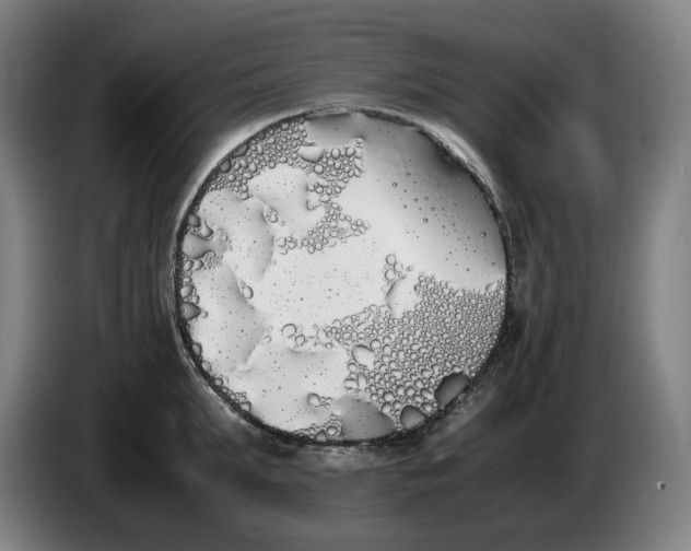 X0000086340903200704202059