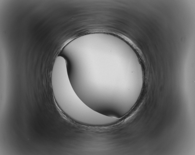 X0000086340905200704202059