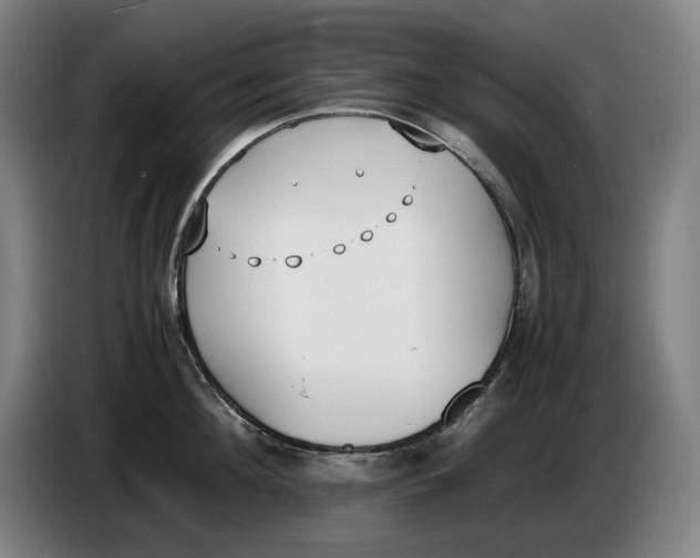 X0000086340908200704202058