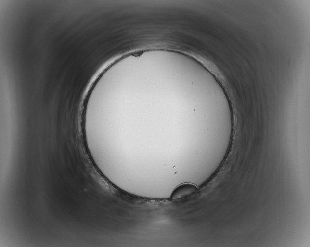 X0000086340912200704202058