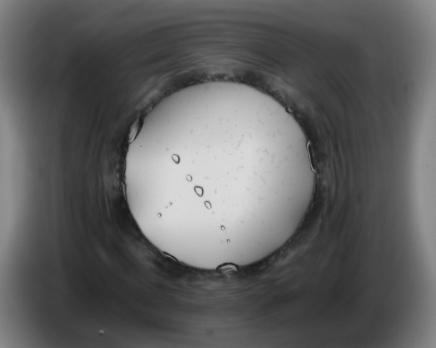 X0000086340916200704202058