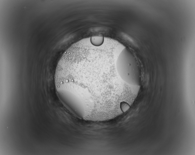 X0000086340917200704202058