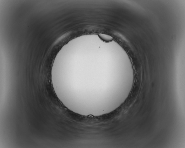 X0000086340919200704202058
