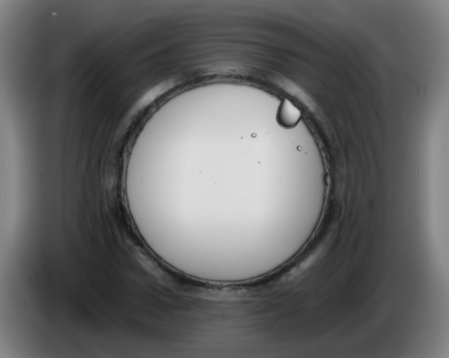 X0000086340922200704202058