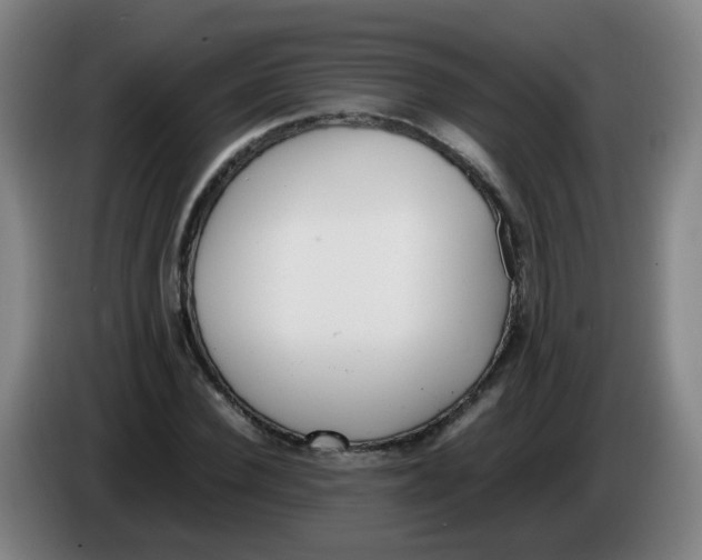 X0000086340924200704202058