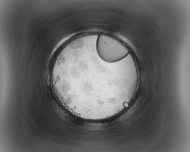 X0000086340925200704202058