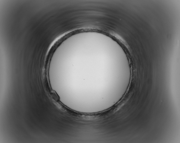 X0000086340928200704202058