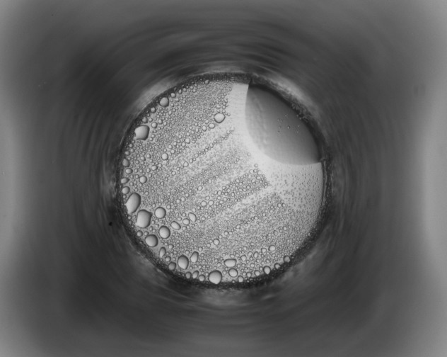 X0000086340929200704202058