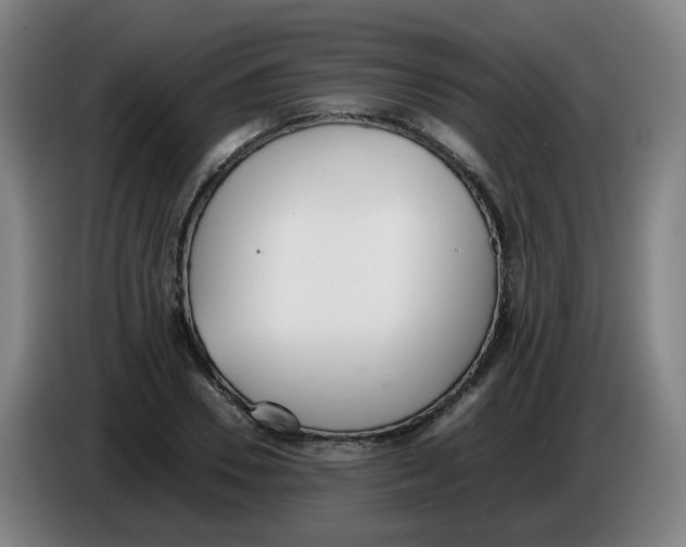 X0000086340930200704202058