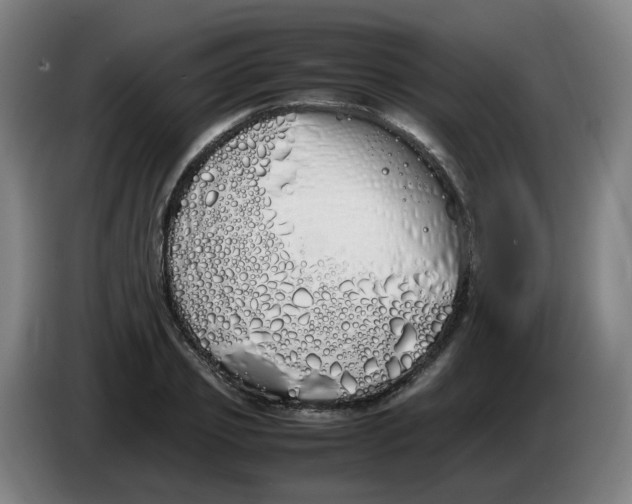 X0000086340933200704202058