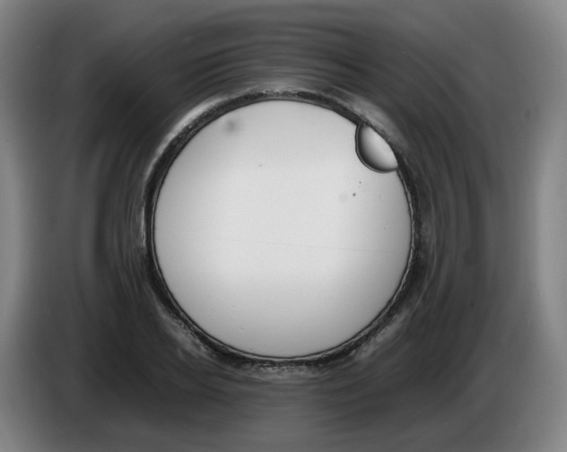 X0000086340934200704202058