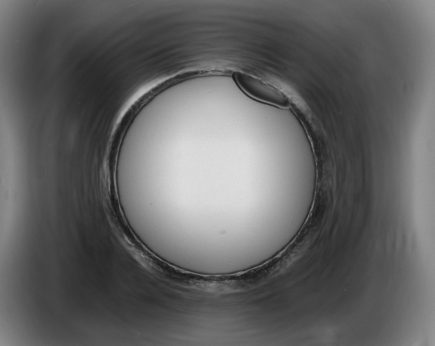 X0000086340936200704202058