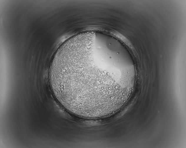 X0000086340937200704202058