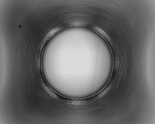 X0000086340938200704202058