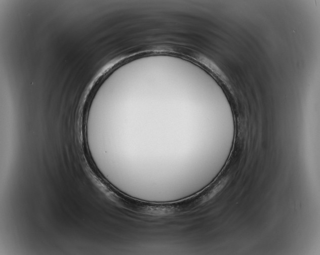 X0000086340939200704202058