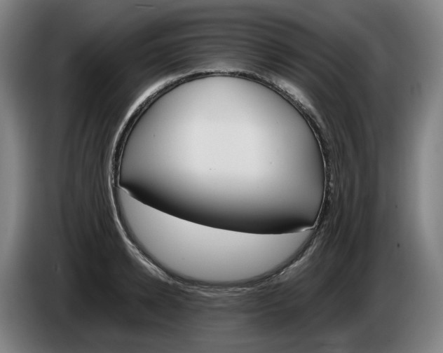 X0000086340942200704202058