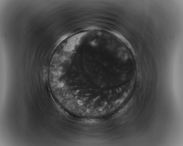 X0000086340945200704202058