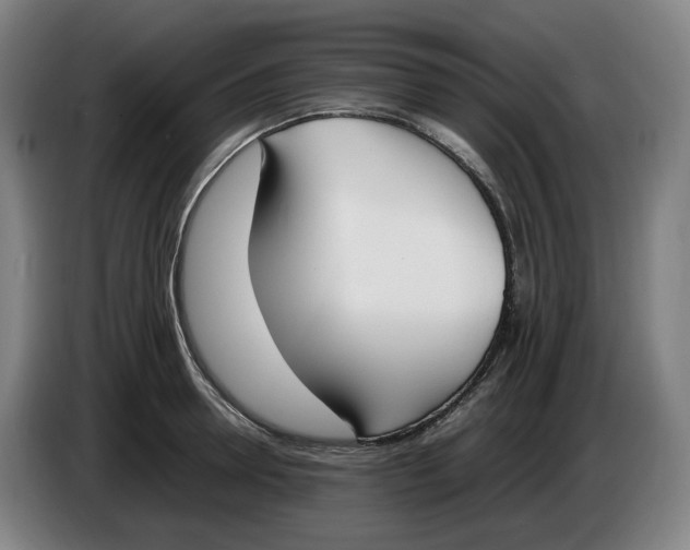 X0000086340946200704202058