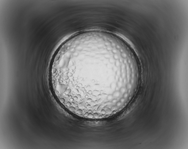 X0000086340949200704202058
