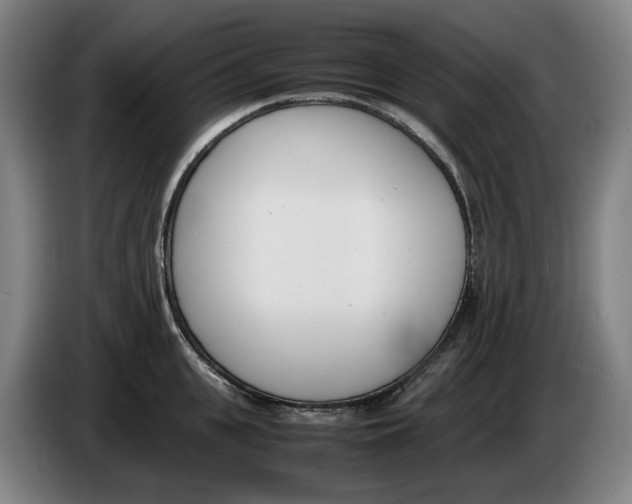X0000086340951200704202058