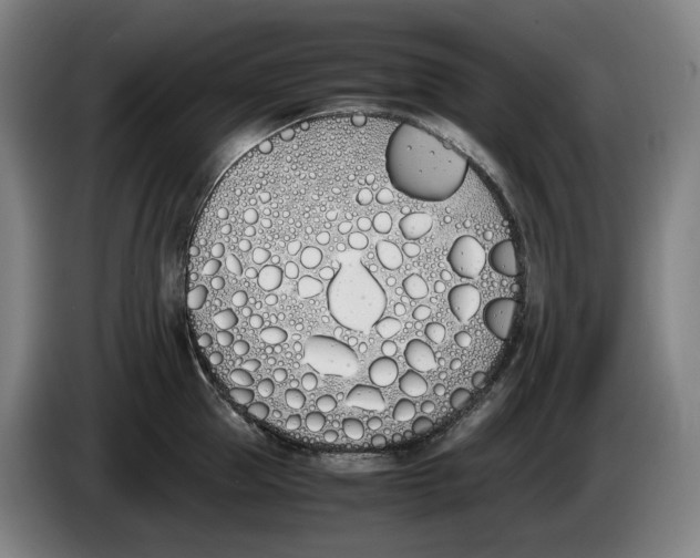 X0000086340953200704202058