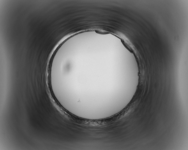 X0000086340955200704202058