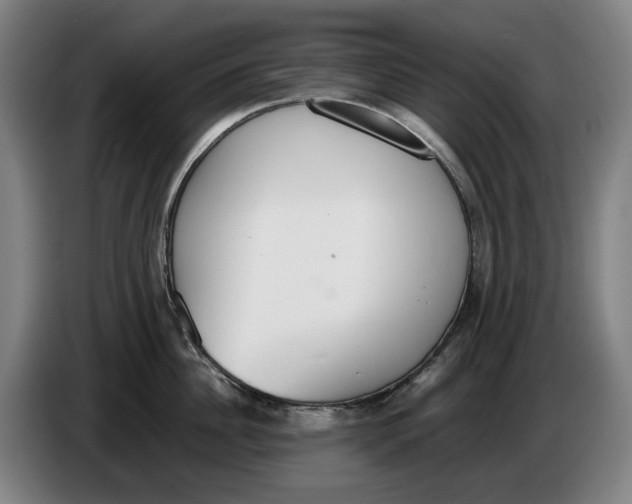 X0000086340956200704202058