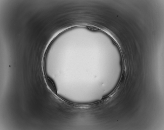 X0000086340958200704202058