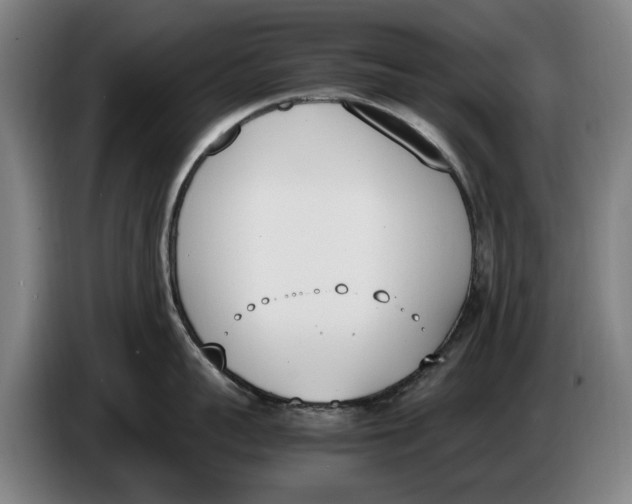 X0000086340959200704202058