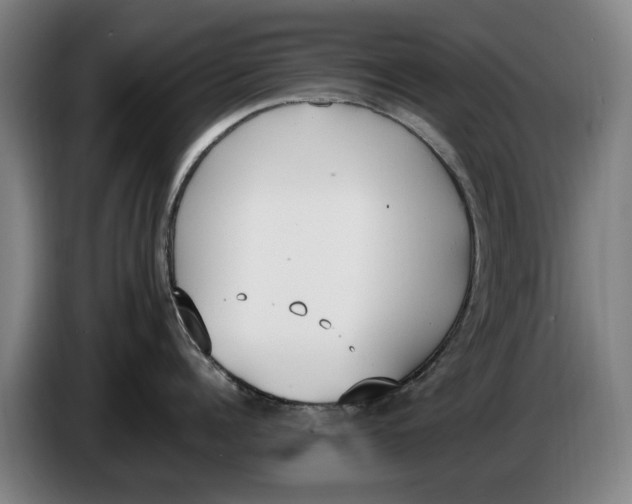 X0000086340960200704202058