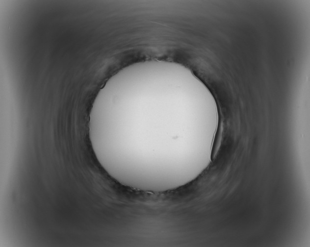 X0000086340961200704202058
