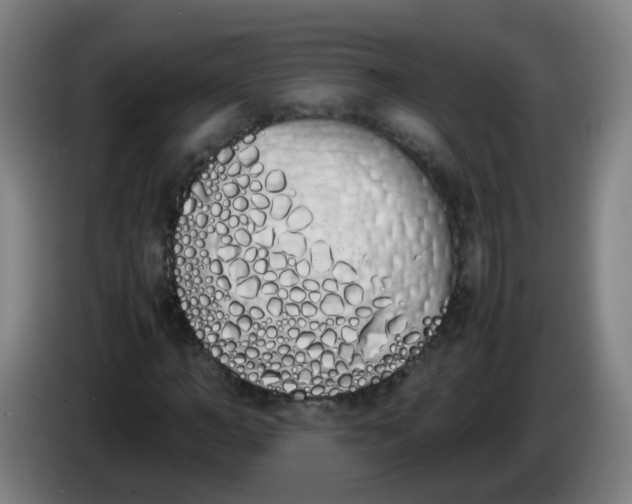 X0000086340966200704202058