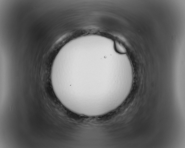 X0000086340967200704202058