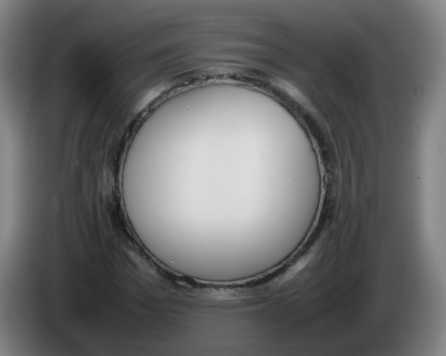 X0000086340969200704202058