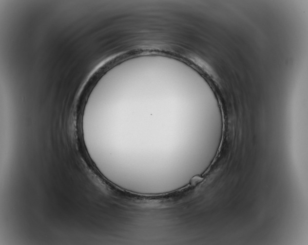 X0000086340976200704202058