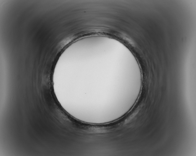 X0000086340977200704202058