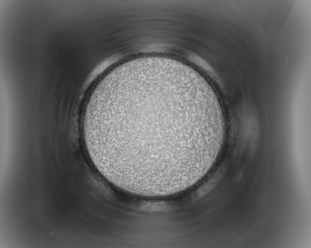 X0000086340978200704202058