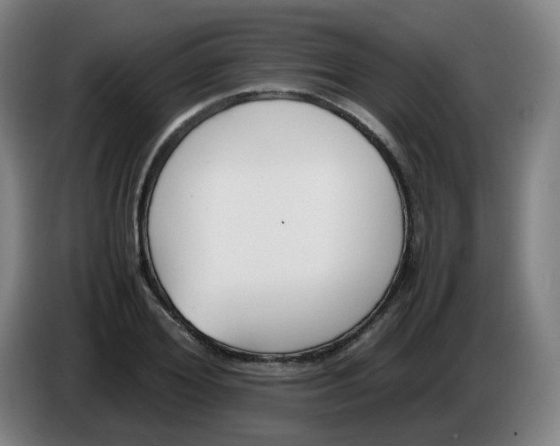 X0000086340980200704202058