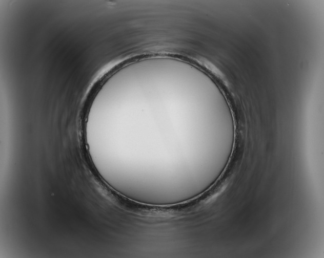 X0000086340981200704202058