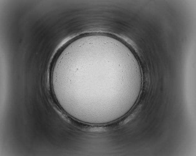 X0000086340982200704202058