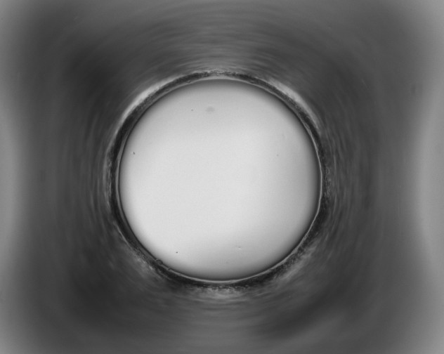 X0000086340983200704202058