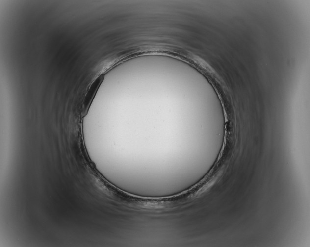 X0000086340985200704202058